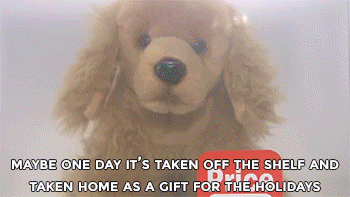 Dieren Gifs Hond kind tand trekt 