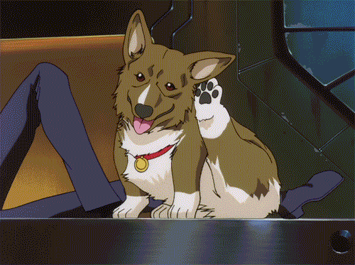 Dieren Gifs Hond 
