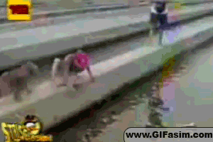 Honden GIF. Dieren Puppy Gifs Hond 