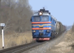 Honden GIF. Dieren Gifs Hond Mopshond 