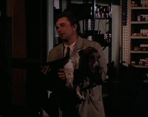 Honden GIF. Dieren Gifs Hond Overwinning Surfing 
