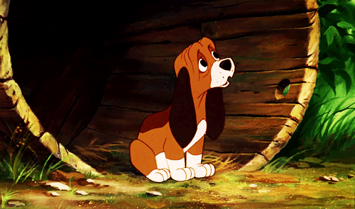 Dieren Gifs Hond gelukkig hemel 