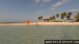 Dieren Gifs Hond overwinning surfing 