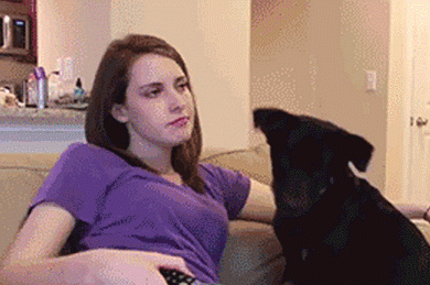 Dieren Gifs Hond spiegel schroef 