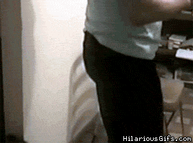 Honden GIF. Dieren Puppy Gifs Hond Pitbull 