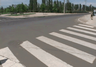 Dieren Kus Gifs Hond Mopshond 