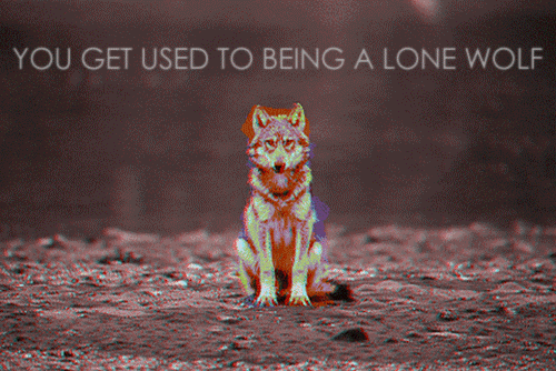 Dieren Puppy Gifs Hond hees 