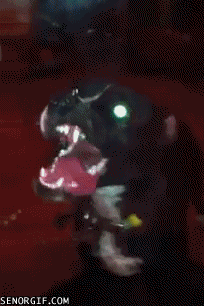 Dieren Gifs Hond zoute+krakeling 