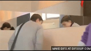 Dieren Zwemmen Gifs Hond teckel 