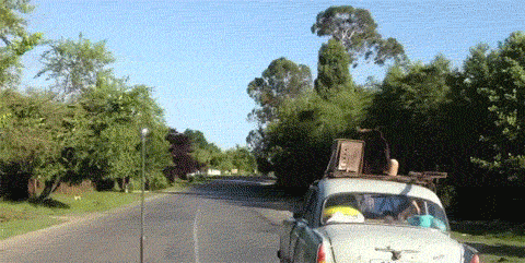 Dieren Basketbal Gifs Hond 
