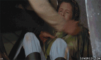 Dieren Grappig Gifs Hond Mopshond 