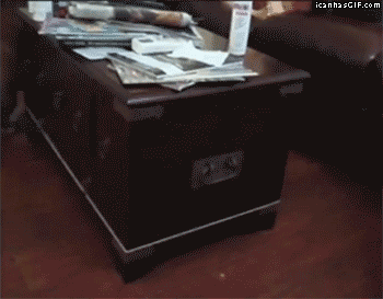 Dieren Gifs Hond de+mens 