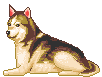 Baby GIF. Dieren Baby Gifs Hond Wandelaar 