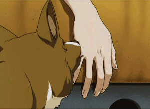 Honden GIF. Dieren Gifs Hond Reactie Likken Het+eten Hilarisch 