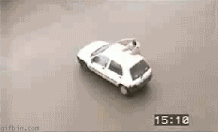 Honden GIF. Dieren Gifs Hond Truc Oversteken 
