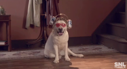 Dieren Jongen Gifs Hond 
