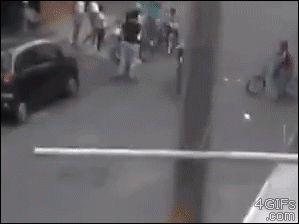 Honden GIF. Dieren Gifs Hond 