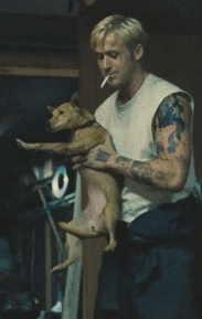 Honden GIF. Dieren Puppy Gifs Hond 