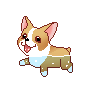 Honden GIF. Dieren Gifs Hond 