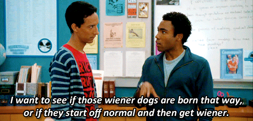 Donald Glover GIF. Gifs Filmsterren Donald glover Glimlach Vloek Fotoset Childish gambino 