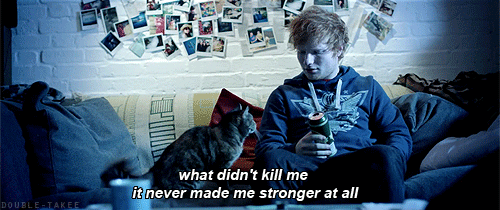 Ed Sheeran GIF. Artiesten Gifs Ed sheeran Shaytards Instagram Shaycarl 