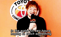 Ed Sheeran GIF. Beroemdheden Artiesten Gifs Ed sheeran 