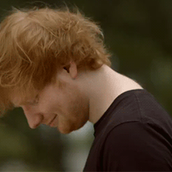 Ed Sheeran GIF. Muziek Artiesten Gifs Ed sheeran 