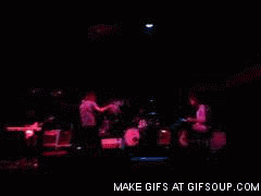 Olifant GIF. Dieren Olifant Baby Gifs Nom 