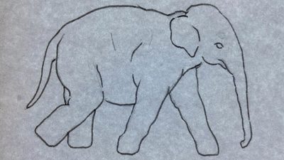 Dieren Spelen Olifant Baby Gifs 