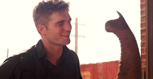 Dieren Olifant Gifs eet 