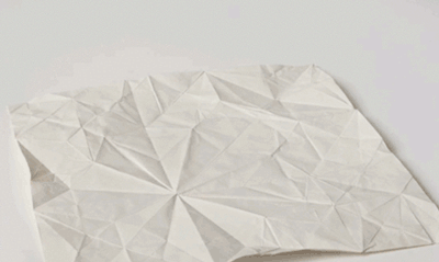 Dieren Olifant Gifs 