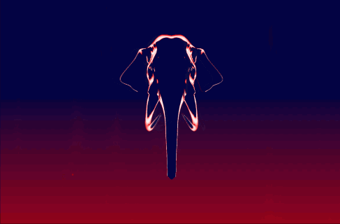 Dieren Olifant Gifs eet 