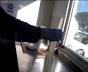 Olifant GIF. Dieren Olifant Baby Gifs Vallend 