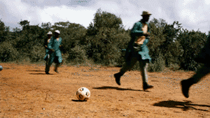 Baby GIF. Dieren Olifant Baby Gifs Offsides 