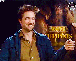 Olifant GIF. Dieren Olifant Gifs Animalsbeingjerks Ruk 