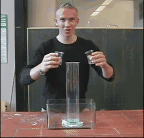 Olifant GIF. Dieren Olifant Baby Gifs Nom 