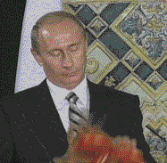 Olifant GIF. Dieren Schattig Olifant Zwembad Gifs Gif 
