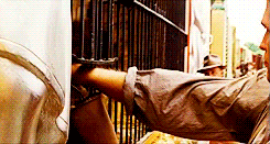 Olifant GIF. Dieren Olifant Gifs Haters 