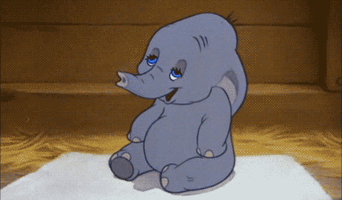 Dieren Olifant Gifs man bos 