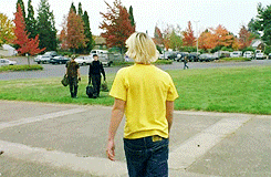 Olifant GIF. Dieren Olifant Gifs 
