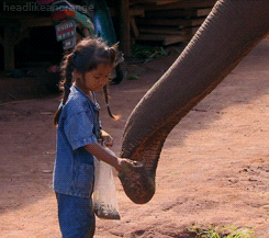 Olifant GIF. Dieren Olifant Doei Gifs Vaarwel 