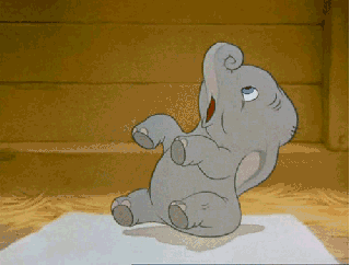 Dieren Olifant Gifs schattigheid 