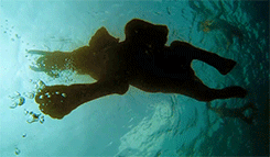 Olifant GIF. Dieren Olifant Gifs Animalsbeingjerks Ruk 
