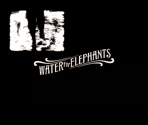Dieren Olifant Gifs dier 