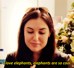 Olifant GIF. Dieren Olifant Gifs Hand 