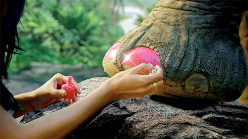 Dieren Olifant Gifs trampoline 