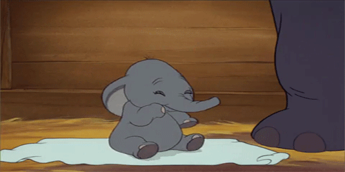 Dieren Olifant Gifs intrappen 