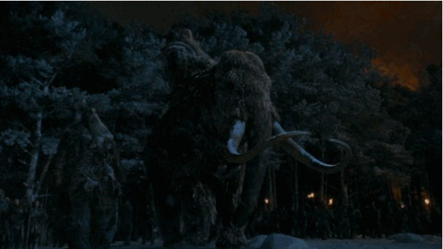 Dieren Olifant Dronken Gifs 