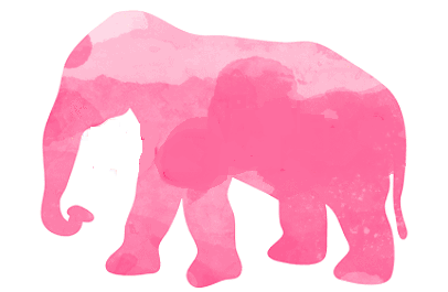 Dieren Olifant Regenboog Gifs 