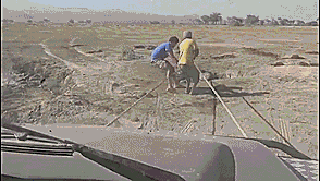 Olifant GIF. Dieren Olifant Gifs Exploderen 